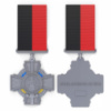 New Медаль «Хрест незламності»