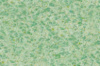 Рідкі шпалери Сауф  945 зелені