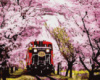 Картина за номерами «Потяг у весну» 40х50см
