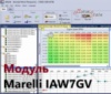 Модуль редактора прошивок BitEdit - Marelli IAW7GV