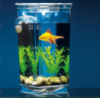Самоочищающийся аквариум для рыбок “My Fun Fish”