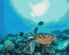 Картина за номерами «Черепаха у кораловому рифе» 40х50см