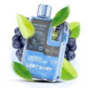 Lost Mary OS12000. Черника Лайм (Blueberry Lime)