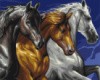 Картина за номерами «Тріо коней» 40х50см