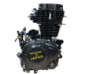 Двигатель 4T CG250 (163FML) ZUBR ST