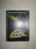 Победоносцев В. Тутти Кванти.