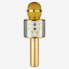 Микрофон WS-858 WSTER BLACK. Цвет: золото