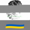 11.5/80 R15.3 BKT AS-504 135A8 Сельхоз шина