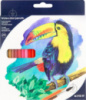 Олівці кольорові акварельні, 24 шт. Kite «Птахи»