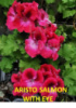 22. ARISTO SALMON WITH EYE