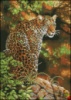 Схема для вышивки Взгляд леопарда