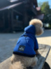 Худі для собак Blue Digi Dog з кишенею, синя кофта, стильний одяг для собак