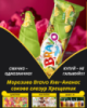 Морозиво Bravo Ківі-Ананас сокова глазур Хрещатик Морозиво Bravo Ківі-Ананас сокова глазур Хрещатик