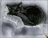Схема для вышивки Чёрная кошка