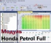 Модуль редактора прошивок BitEdit - Honda Petrol Full