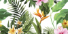 Ceramika Konskie Tropical Flowers Inserto Rect 30х60 декор Кераміка Конські Тропікал Флаврес Інсерто Рект