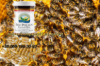 Пчелиная пыльца Bee Pollen в капсулах. Бесплатная доставка по всей Украине.