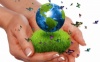 Промоушн компании «Green World»