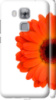 Чехол на Huawei • Гербера 1 4534m-1555