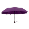 Зонт женский полуавтомат Grunhelm UAO-1005RH-30GW фиолетовый