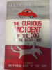 The Curious Incident of the Dog in the Night-Time by Mark Haddon