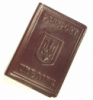 Обложка для зарубежного паспорта