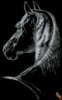 Схема для вышивки Конь в темноте