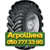 1200/500R508 Днепрошина И-247Б 149F PR10 Универсальная грузовая шина