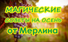 МАГИЧЕСКИЕ СОВЕТЫ НА ОСЕНЬ ОТ МЕРЛИНА