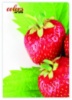 Папка пластикова А4 20 файлів, Colors of Life Strawberry