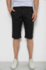 Шорти чоловічі, колір чорний, 244RLS24-0177