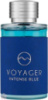 Парфюмированная вода для мужчин Fragrance World Monte Leone Voyager Intense Blue 100 мл