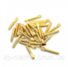 Штифти позолочені 500 шт L5