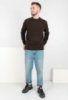 Чоловічий коричневий светр