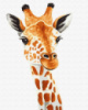 Картина за номерами «Жирафа» 40х50см