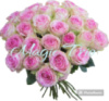 Замовити Букет з 25 троянд Esperance (Еквадор),купити квіти Ⓜ️ Оболонь Київ.