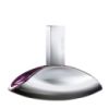 Парфуми Calvin Klein Euphoria LUX, 100 мл
