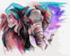 Картина за номерами «Слон аквареллю» 40х50см