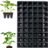 Кассета для рассады 60*40 54 ячейки