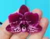 Підліток Phal. метелик, квіти 6 см