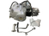 Двигатель Delta 125cc (АКПП 157FMH) (TM) EVO