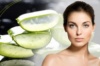 Elite Cosmetics Aloe Vera Elite Cosmetics Aloe Vera