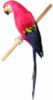 Декоративная игрушка «Попугай» 50см, малиновый с синим
