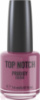 Лак Top Notch Top Notch Prodigy Nail Color 14 мл 244 TOUGH LOVE