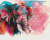 Картина за номерами «Індійский слон» 40х50см