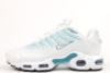 Жіночі кросівки Nike Air Max TN Plus (36-40)