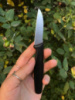 Нож кухонный Victorinox Standart