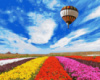 Картина за номерами «Політ над тюльпанним полем» 40х50см
