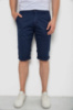 Шорти чоловічі, колір синій, 244RLS24-0181