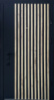 Вхідні двері Страж Prestige Lux Plaza Rail